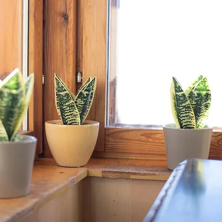 Ihana Apartamento *